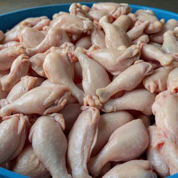 Bulk Order Frozen Halal Chicken,