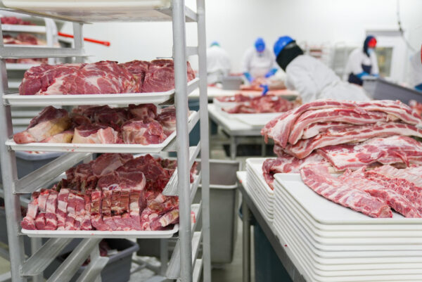 Food Grade Frozen Beef Forequarters,